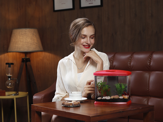 1604657334212367.jpg 23.jpg