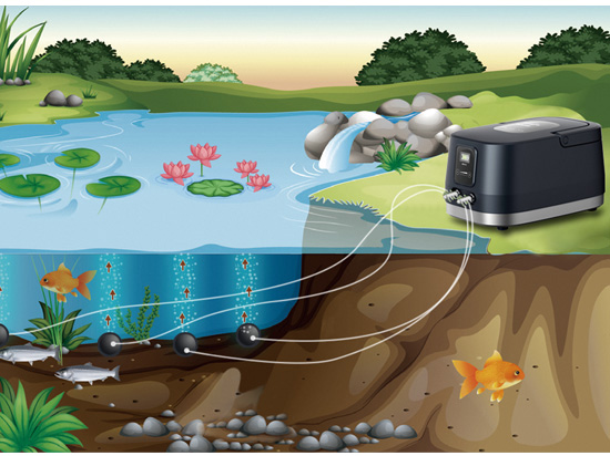 1668585689859627.jpg 右圖應用.jpg